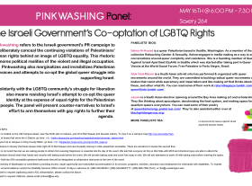 Pinkwashing Panel Poster&nbsp;2013